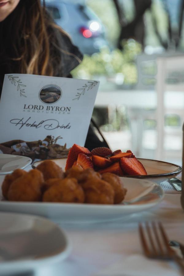 Pensjonat Lord Byron Tepelene